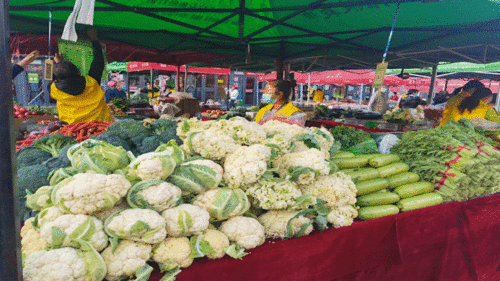 開市啦！日用百貨市場(chǎng)繁榮景象
